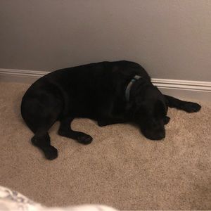 Meet your Posher, Jason